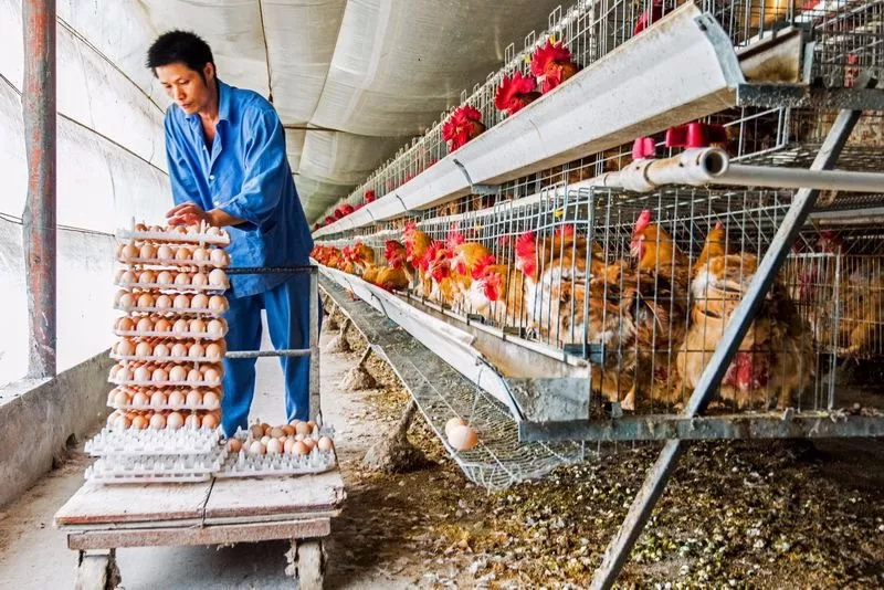 圖片關鍵詞 圖片關鍵詞